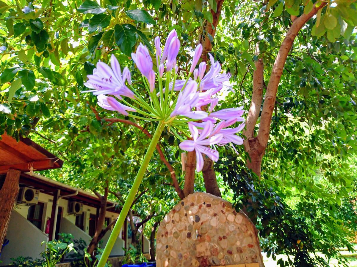 Simge Pension Çıralı Exterior foto