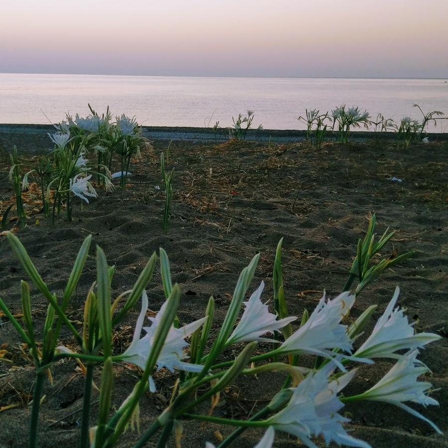 Simge Pension Çıralı Exterior foto